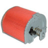 Filtro de Aire Hiflofiltro HFA1203 | RCMotos